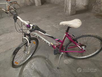bicicletta 