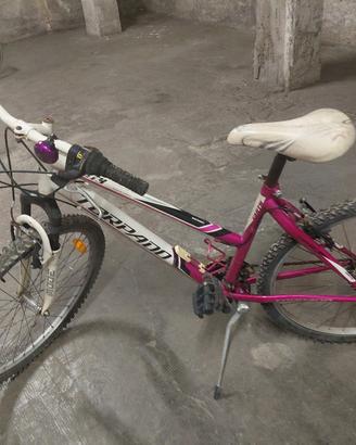 bicicletta 