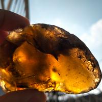 pietra preziosa ambra