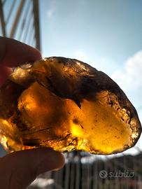 pietra preziosa ambra