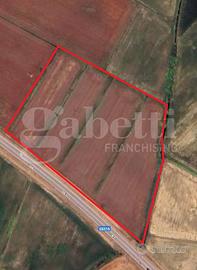 Terreno Agricolo Codevigo [0630252910VCG]