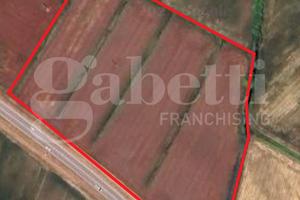 Terreno Agricolo Codevigo [0630252910VCG]