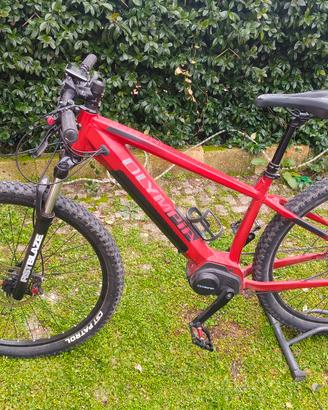 e-bike 