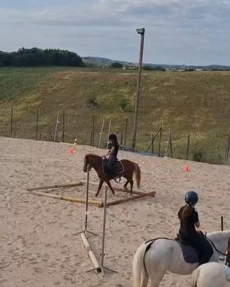 Pony
