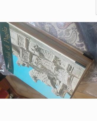 cattedrali Puglia piu di 400 illustrazioni 640 pag