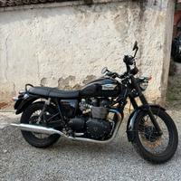 Triumph Bonneville T100 Back - 2015