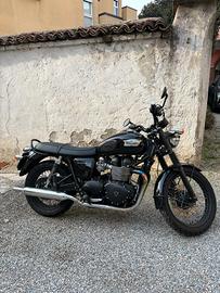 Triumph Bonneville T100 Back - 2015