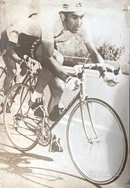 Poster originale Colnago & Eddy Merckx vintage