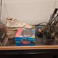 Acquaterrario per tsrtarughe