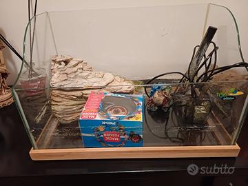 Acquaterrario per tsrtarughe