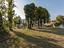 Immagine 11