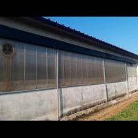 Finestre policarbonato