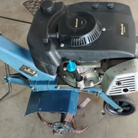 Motozappa Einhell 4 TEMPl a benzina