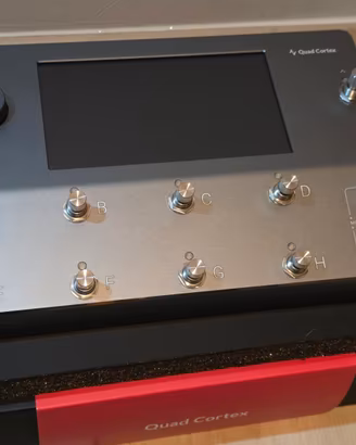 Neural Dsp Quad Cortex -DUE MESI di vita