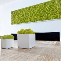 SPECIALE VERDE STABILIZZATO