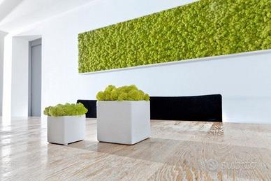 SPECIALE VERDE STABILIZZATO