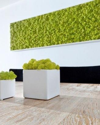 SPECIALE VERDE STABILIZZATO