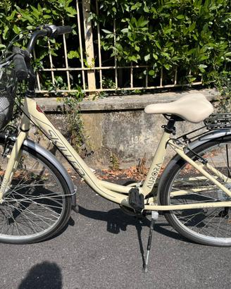 Bici Skilled Aurora