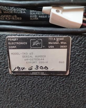 amplificatore usato