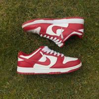 Nike Dunk Rosse