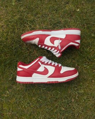 Nike Dunk Rosse
