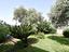 Immagine 8