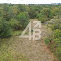 TERRENO AGRICOLO - 5000 m² - MONTE GRISA / TRIESTE