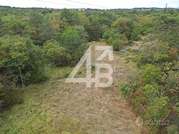 TERRENO AGRICOLO - 5000 m² - MONTE GRISA / TRIESTE