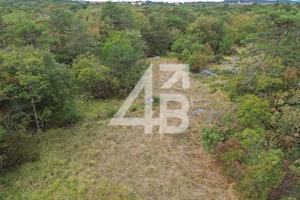 TERRENO AGRICOLO - 5000 m² - MONTE GRISA / TRIESTE