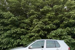 Volkswagen Golf 1.8 turbo 20V cat 5p. GTI