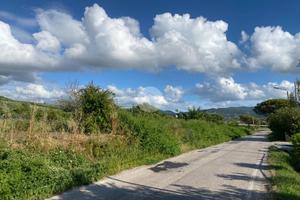 TER. AGRICOLO A CAPACCIO