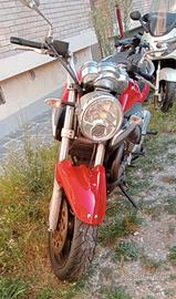 Moto Guzzi Breva 1100 - 2006