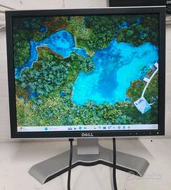 Monitor Dell 19 pollici come nuovo