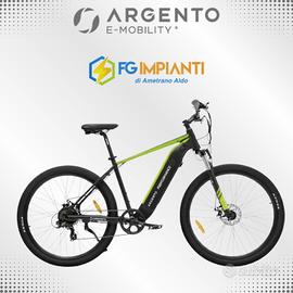 Mountain E-bike Argento Performance Pro