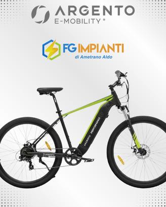Mountain E-bike Argento Performance Pro