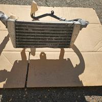 ricambi non perfetti BMW S1000R dal 2021 (K63)