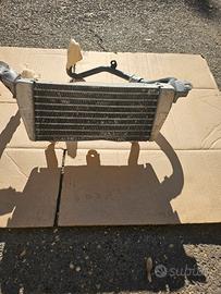 ricambi non perfetti BMW S1000R dal 2021 (K63)