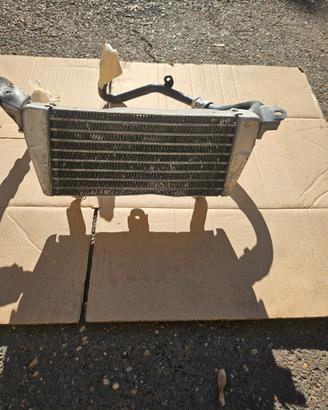 ricambi non perfetti BMW S1000R dal 2021 (K63)