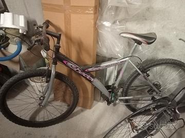 bicicletta Mountain bike
