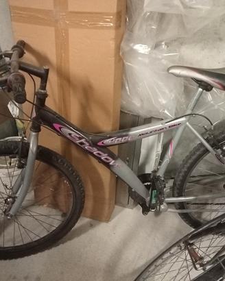 bicicletta Mountain bike