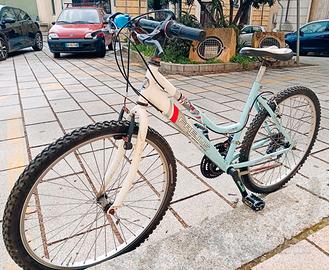 Bicicletta
