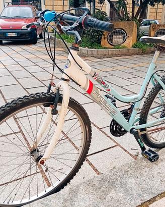 Bicicletta