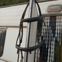 Testiera cavallo horze