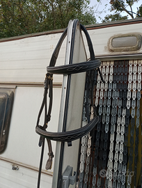 Testiera cavallo horze