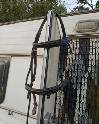 Testiera cavallo horze