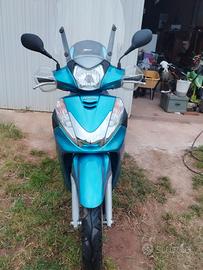 SH 300 2011