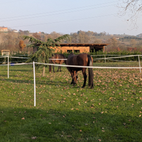 Struttura per eventi