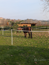 Struttura per eventi