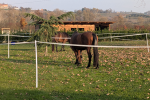 Struttura per eventi