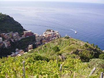 Attività / Licenza di 100 m² con 2 locali a Riomag